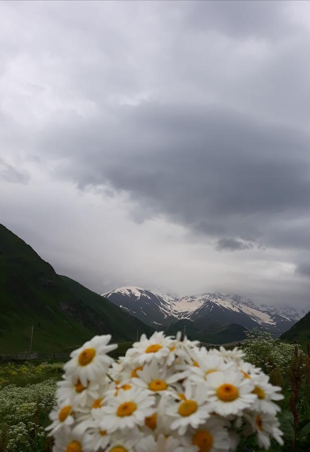 Maxvshi Hotel Ushguli Exterior photo