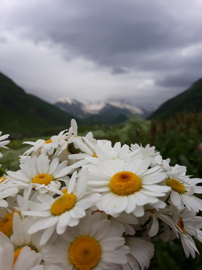 Maxvshi Hotel Ushguli Exterior photo