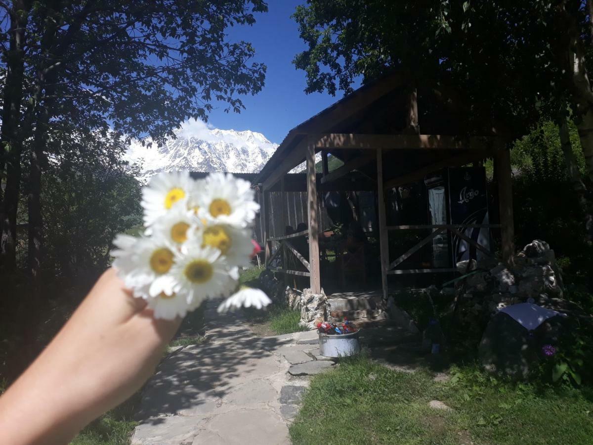 Maxvshi Hotel Ushguli Exterior photo